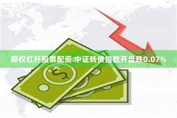 期权杠杆股票配资 中证转债指数开盘跌0.07%