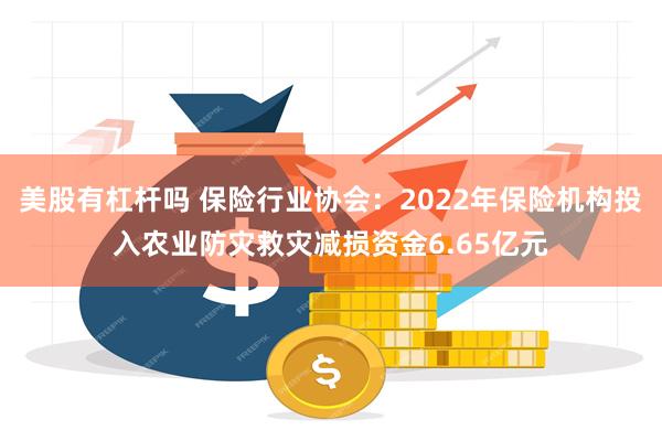 美股有杠杆吗 保险行业协会：2022年保险机构投入农业防灾救灾减损资金6.65亿元