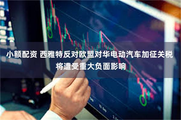 小额配资 西雅特反对欧盟对华电动汽车加征关税 将遭受重大负面影响