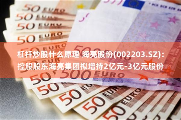 杠杆炒股什么原理 海亮股份(002203.SZ)：控股股东海亮集团拟增持2亿元-3亿元股份