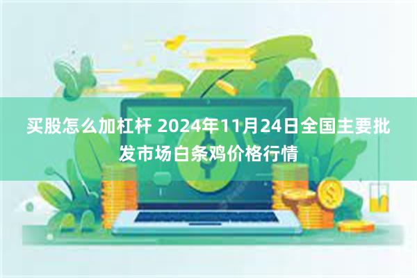 买股怎么加杠杆 2024年11月24日全国主要批发市场白条鸡价格行情