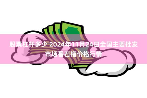 股票杠杆多少 2024年11月24日全国主要批发市场番石榴价格行情