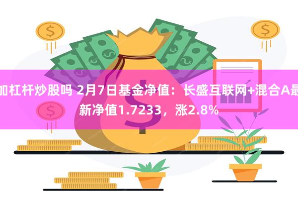 加杠杆炒股吗 2月7日基金净值：长盛互联网+混合A最新净值1.7233，涨2.8%