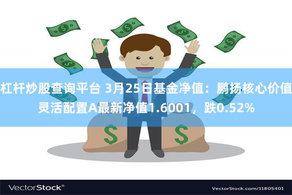 杠杆炒股查询平台 3月25日基金净值：鹏扬核心价值灵活配置A最新净值1.6001，跌0.52%