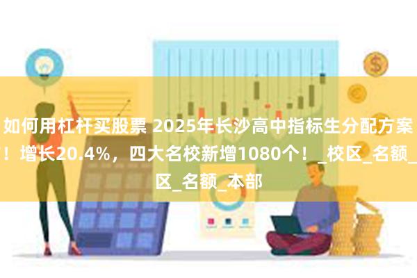 如何用杠杆买股票 2025年长沙高中指标生分配方案公布！增长