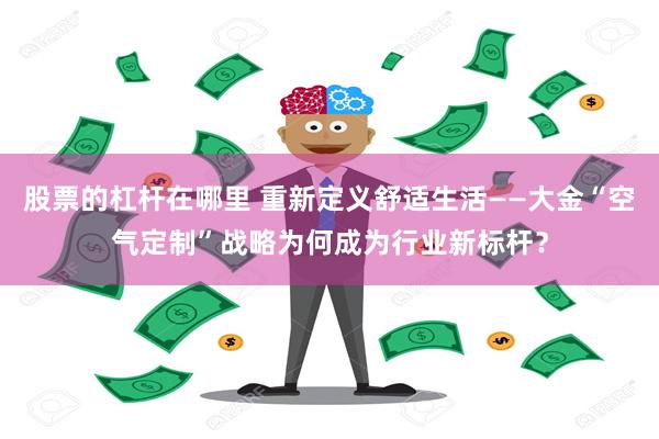 股票的杠杆在哪里 重新定义舒适生活——大金“空气定制”战略为
