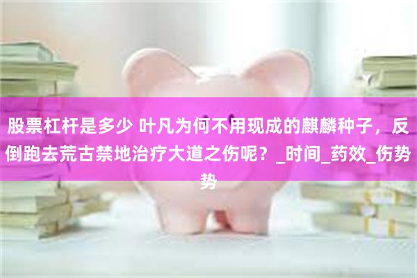 股票杠杆是多少 叶凡为何不用现成的麒麟种子，反倒跑去荒古禁地