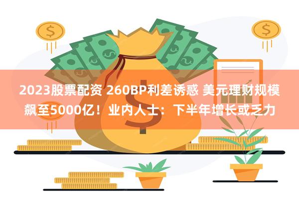 2023股票配资 260BP利差诱惑 美元理财规模飙至500